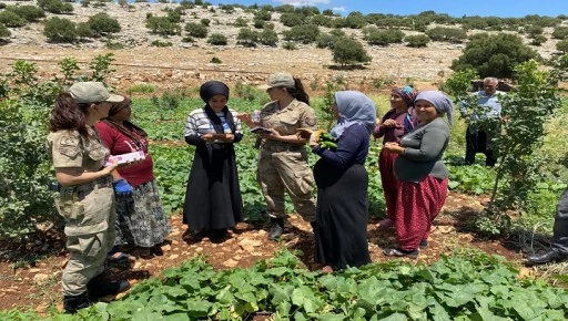 ANIZ YANGINLARINA KARŞI JANDARMA EKİPLERİ DENETİM VE BİLGİLENDİRME ÇALIŞMALARINA DEVAM EDİYOR