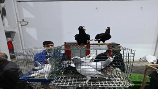 YILMAZ&rsquo;DAN KUŞ PAZARI M&Uuml;JDESİ  T&Uuml;RKİYE&rsquo;NİN EN G&Uuml;ZEL G&Uuml;VERCİNLERİ