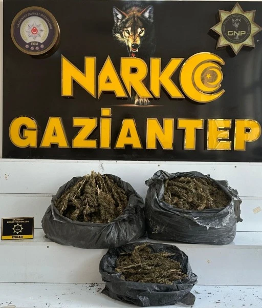 NARKOTİK SU&Ccedil;LARLA M&Uuml;CADELE ŞUBE M&Uuml;D&Uuml;RL&Uuml;Ğ&Uuml;