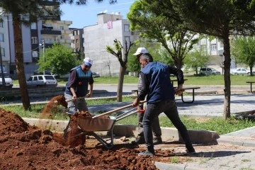 Nizip daha da yeşil olacak