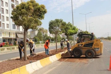 PARK VE BAHÇE EKİPLERİ ÇALIŞMALARINI SÜRDÜRÜYOR