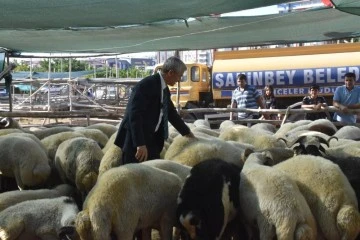 Şahinbey Belediyesinden vatandaşın bütçesini düşünen kurbanlık uygulaması
