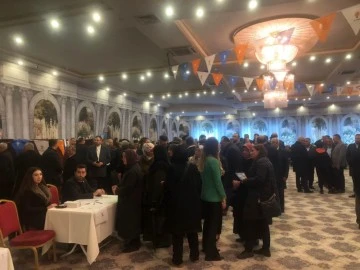 Temayül heyecanı