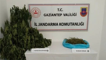 UYUŞTURUCU MADDE İMALATI YAPAN ŞAHSA JANDARMADAN BASKIN