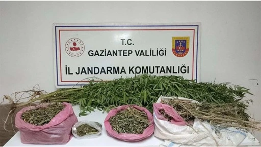 uyuşturucu operasyonu: 2 ş&uuml;pheli tutuklandı