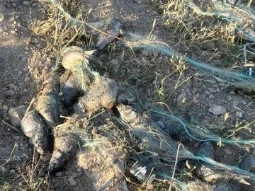 Yasağa rağmen balık avı yapanlara jandarmadan baskın