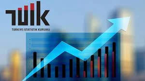 Yenilik faaliyetinde bulunan girişimlerin oranı %39,8 oldu