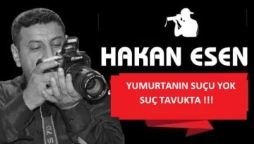 YUMURTANIN SUÇUYOK SUÇ TAVUKTA !!!
