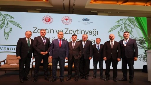  Zeytinyağı sekt&ouml;r&uuml; doğru rekolte &ccedil;alışması ve AB&rsquo;den kota istiyor